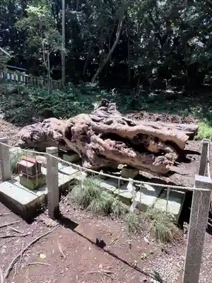 泉神社(茨城県)