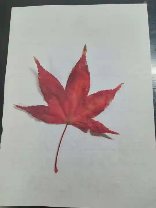 室生寺(奈良県)