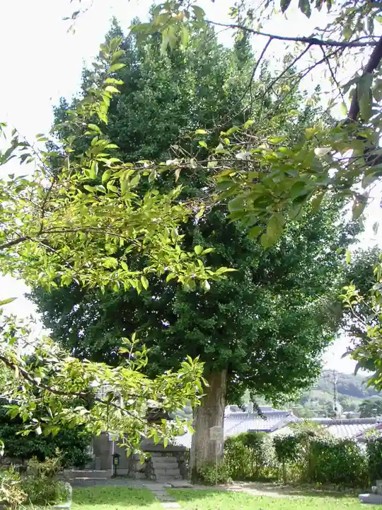 橋寺 放生院の自然