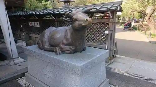 湯島天満宮の狛犬