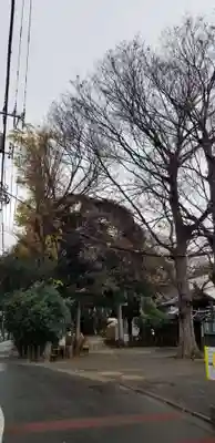 諏方神社の鳥居