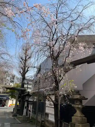 池尻稲荷神社の自然