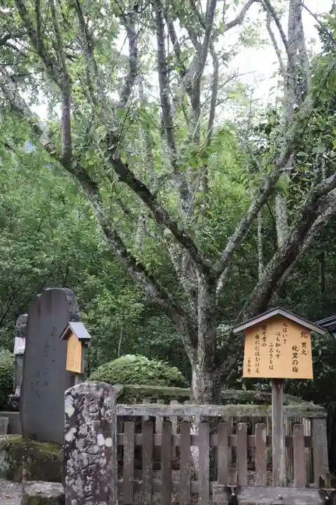 長谷寺(奈良県)