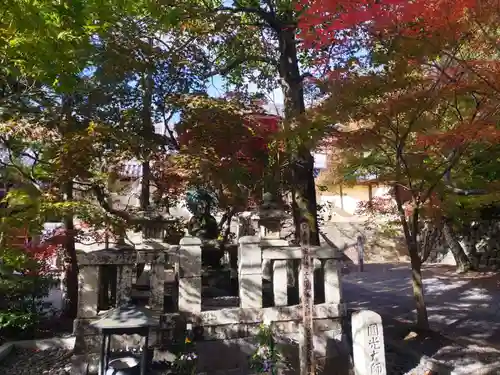 光明寺（粟生光明寺）(京都府)