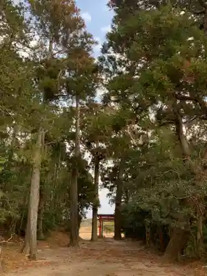 浅間神社(千葉県)
