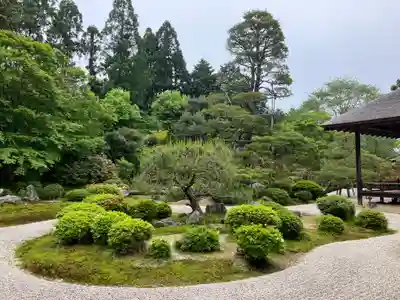 曼殊院門跡の庭園