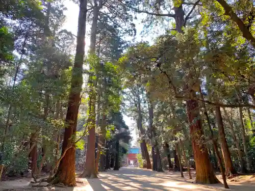 鹿島神宮の自然