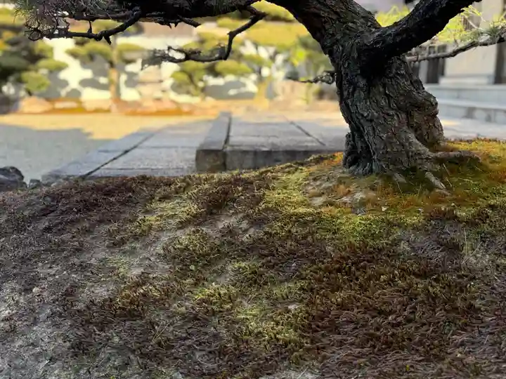 西方山極楽寺(岐阜県)