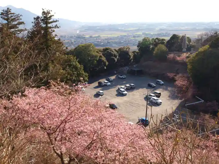 楽法寺(雨引観音)の景色