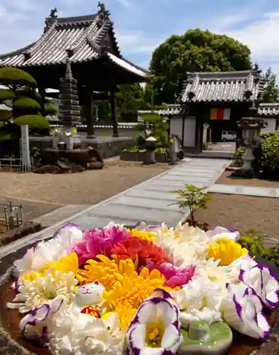 真言宗　善通寺派　薬王寺(香川県)