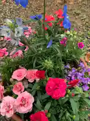 彌都加伎神社の自然