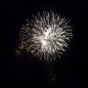 蓮久寺(千葉県)(2020年08月15日(土) 23時39分53秒投稿)