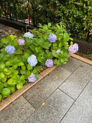 桜神宮(東京都)
