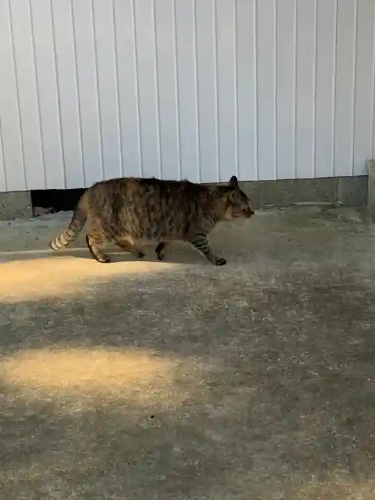 玉野御嶽神社の動物