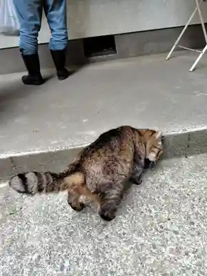間々田八幡宮(栃木県)