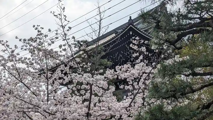 くろ谷 金戒光明寺(京都府)