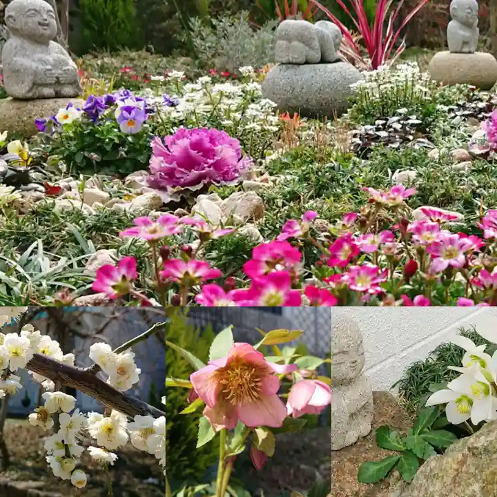 寿量山 速成寺の自然