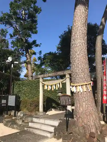 中野沼袋氷川神社の自然