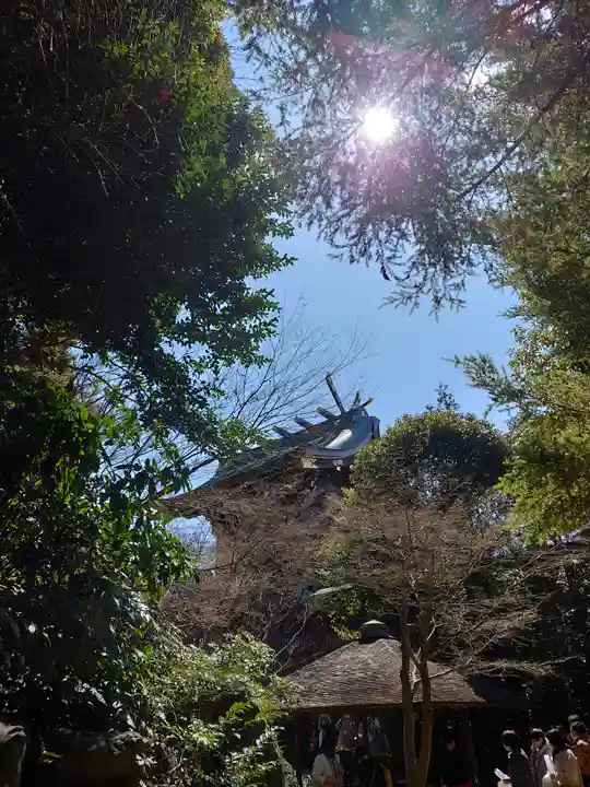 寒川神社(神奈川県)