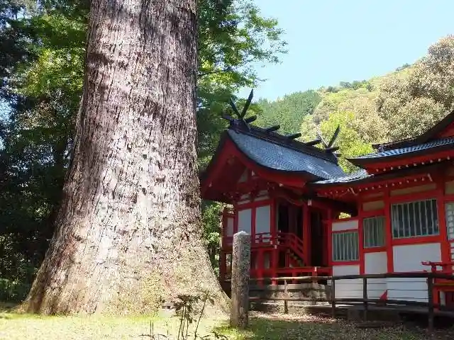 十根川神社の本殿・本堂