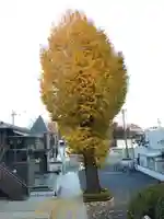 廣源院東福寺の自然