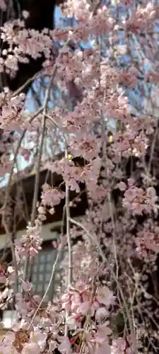 慈雲寺の庭園