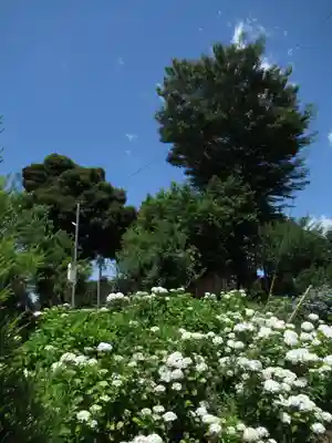 菅原神社(千葉県)