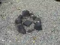 天王神社の{uncategorized: "未分類", other: "その他", undefined: "問題あり", building: "その他建物", grave: "お墓", sacred_gate: "鳥居", guardian: "狛犬", statue: "像", buddha: "仏像", history: "歴史", nature: "自然", garden: "庭園", animal: "動物", pagoda: "塔", temizu: "手水舎", mountain_gate: "山門・神門", sanctuary: "本殿・本堂", subordinate: "末社・摂社", art: "芸術", scenery: "景色", jizo: "地蔵", ema: "絵馬", goshuin: "御朱印", omikuji: "おみくじ", items: "授与品その他", amulet: "お守り", goshuincho: "御朱印帳", eats: "食事", festival: "お祭り", votive_dance: "神楽", shichigosan: "七五三参", wedding: "結婚式", experience: "体験その他", initially: "初詣", around: "周辺", anti_infection: "感染症対策"}