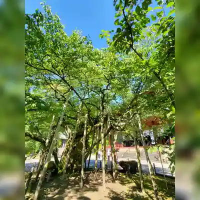 輪王寺(栃木県)