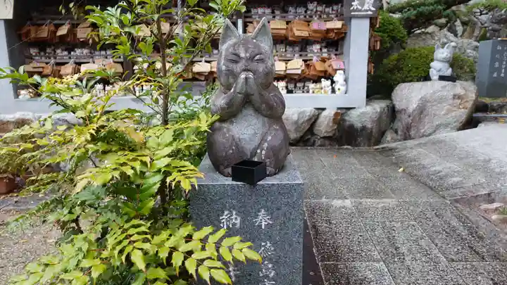 お松大権現(徳島県)