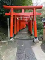 佐助稲荷神社の鳥居
