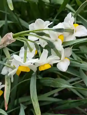 真勝院(東京都)