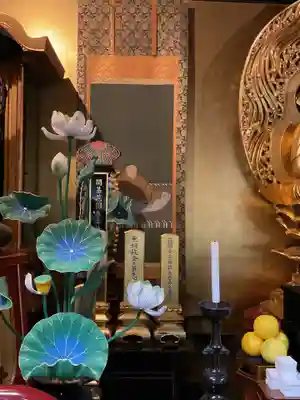 妙心寺（妙心禅寺）(京都府)