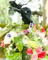 新発田諏訪神社(新潟県)