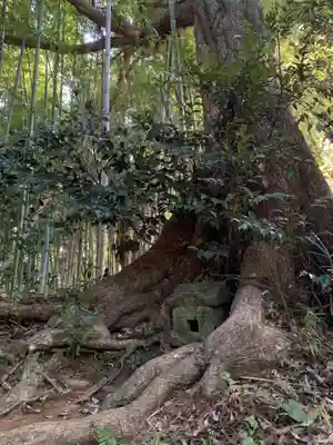 五所神社(千葉県)