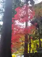 永平寺(福井県)