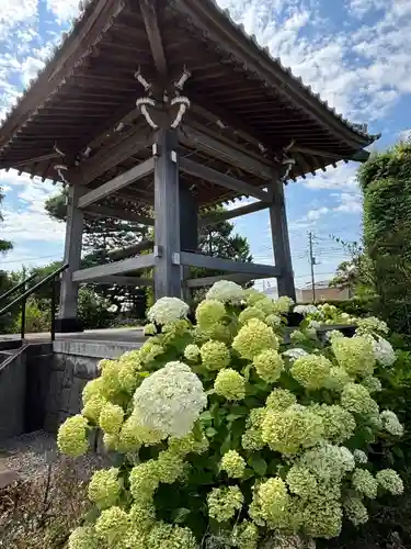 大福寺(埼玉県)