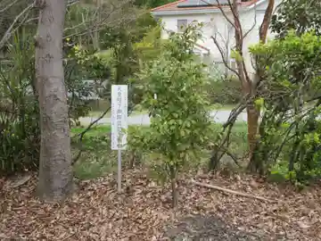 金崎神社(埼玉県)