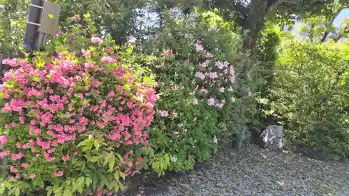 賀茂波爾神社（賀茂御祖神社境外摂社）(京都府)