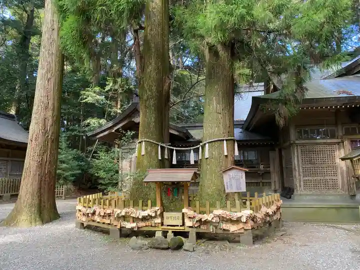 高千穂神社(宮崎県)