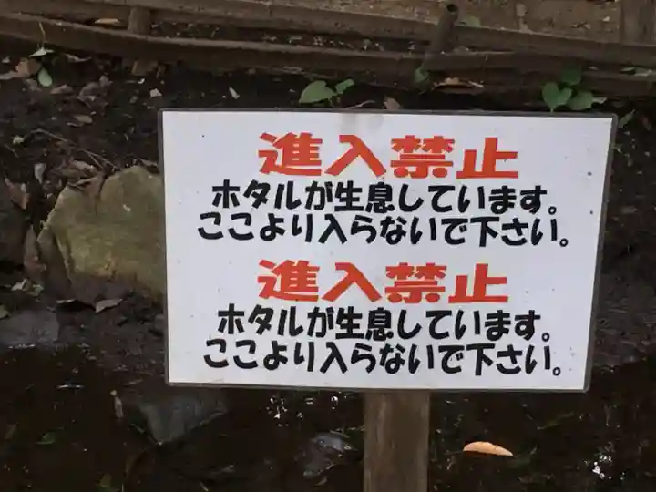 出雲大社相模分祠のその他建物