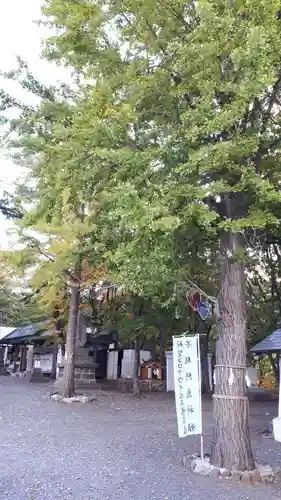 星置神社の自然