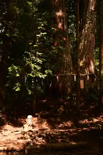 戸隠神社火之御子社(長野県)