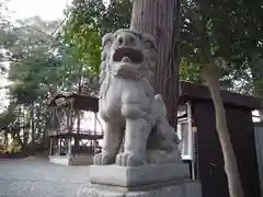 金井八幡神社の狛犬