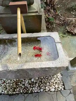 横浜御嶽神社の手水舎