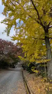 平岡八幡宮(京都府)