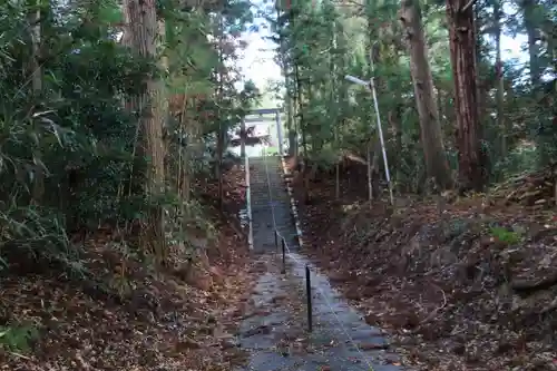 油井神社の鳥居