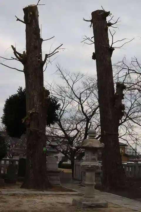 内間木神社(埼玉県)