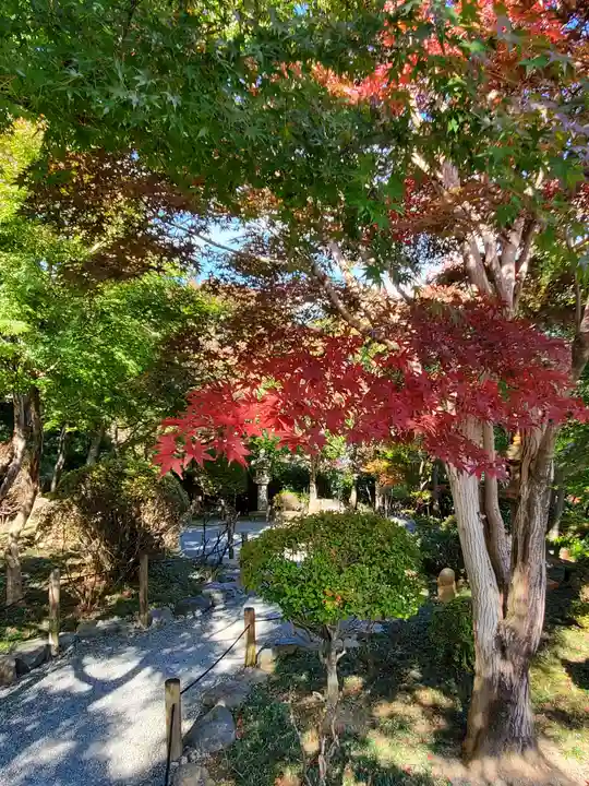 宝徳寺(群馬県)