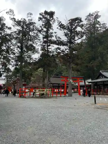 吉田神社の{uncategorized: "未分類", other: "その他", undefined: "問題あり", building: "その他建物", grave: "お墓", sacred_gate: "鳥居", guardian: "狛犬", statue: "像", buddha: "仏像", history: "歴史", nature: "自然", garden: "庭園", animal: "動物", pagoda: "塔", temizu: "手水舎", mountain_gate: "山門・神門", sanctuary: "本殿・本堂", subordinate: "末社・摂社", art: "芸術", scenery: "景色", jizo: "地蔵", ema: "絵馬", goshuin: "御朱印", omikuji: "おみくじ", items: "授与品その他", amulet: "お守り", goshuincho: "御朱印帳", eats: "食事", festival: "お祭り", votive_dance: "神楽", shichigosan: "七五三参", wedding: "結婚式", experience: "体験その他", initially: "初詣", around: "周辺", anti_infection: "感染症対策"}